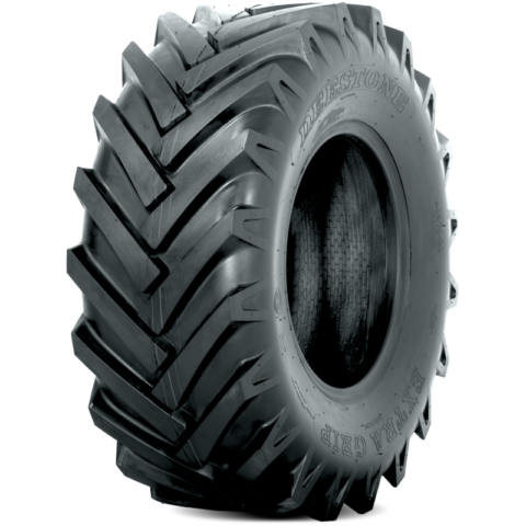 D403 - Deestone Tires